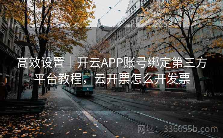 高效设置|开云APP账号绑定第三方平台教程,云开票怎么开发票