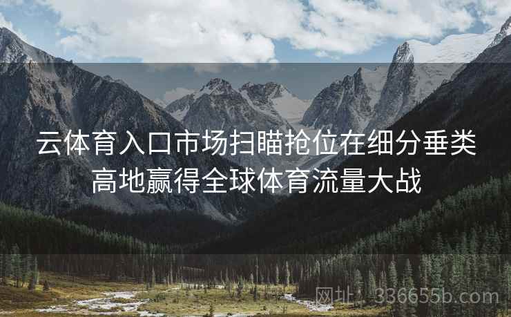 云体育入口市场扫瞄抢位在细分垂类高地赢得全球体育流量大战