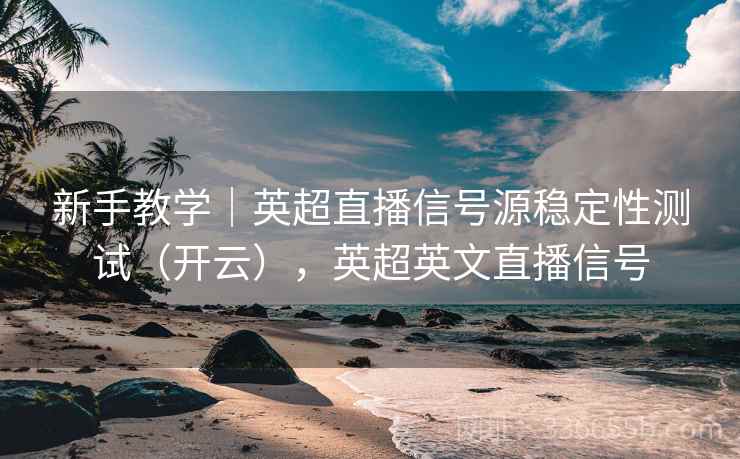 新手教学｜英超直播信号源稳定性测试（开云），英超英文直播信号