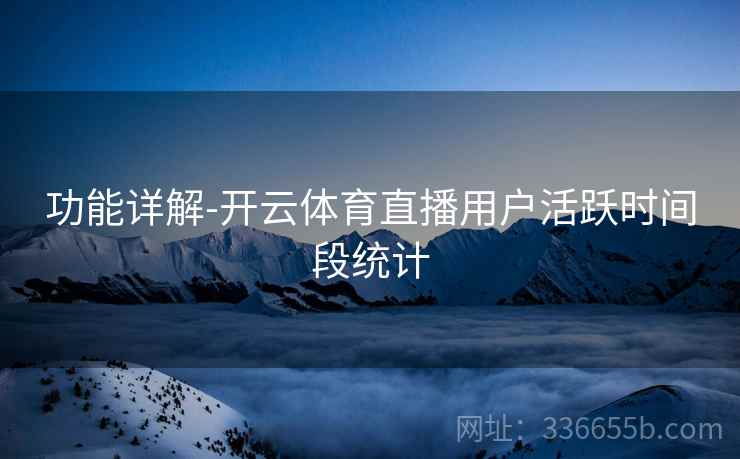 功能详解-开云体育直播用户活跃时间段统计